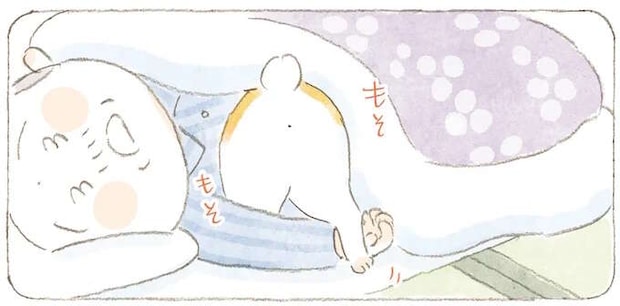 夜の探検を終えて猫が戻るのはじいちゃんの布団の中。気ままな島の猫たち／ねことじいちゃん11