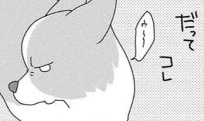 愛犬コーギーのメンタル攻撃。申し訳なさそうにキューン...叱りたい気持ちが／あしょんでよッ6