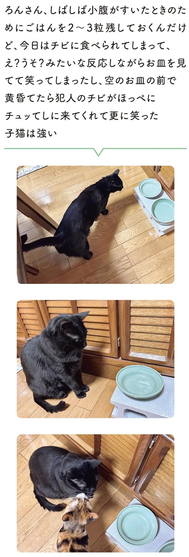 15904203.webp