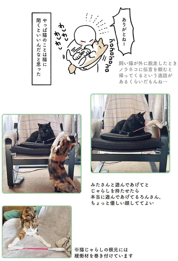 15904206.webp