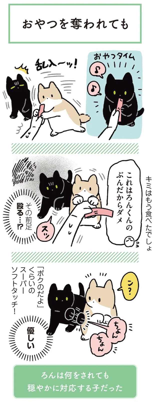 15904202.webp