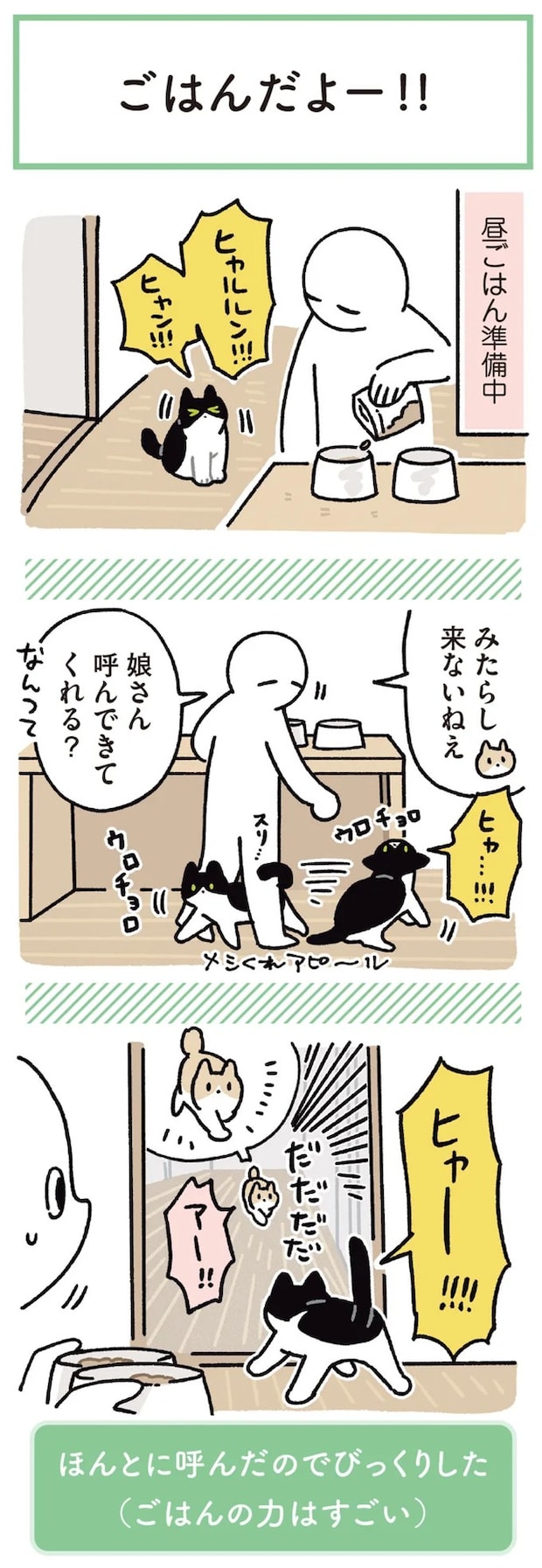 15904204.webp