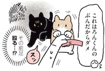 おやつタイムに新入り子猫が乱入！ 黒猫が前足を上げたので殴る？と思ったら／黒猫ろんと暮らしたら6