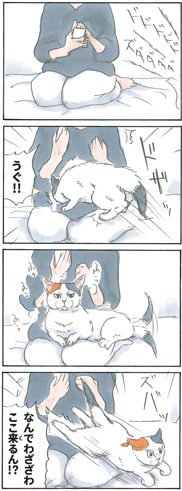 15896801.webp