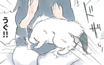 猫が走ってきたいきなり「ドザッ」。理不尽な扱いに飼い主は...／拾い猫のモチャ4