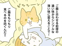 痩せやすい食事に重要な食べ順。そして「味付け」で注意することは？／ネコちゃんのゆるゆるダイエット塾