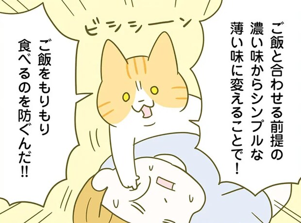 痩せやすい食事に重要な食べ順。そして「味付け」で注意することは？／ネコちゃんのゆるゆるダイエット塾