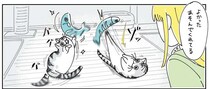 え、もう飽きたの!? 猫に新しいオモチャをあげたら大興奮！からの...？／夜は猫といっしょ6