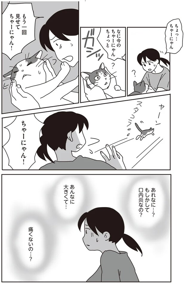 06-03.png