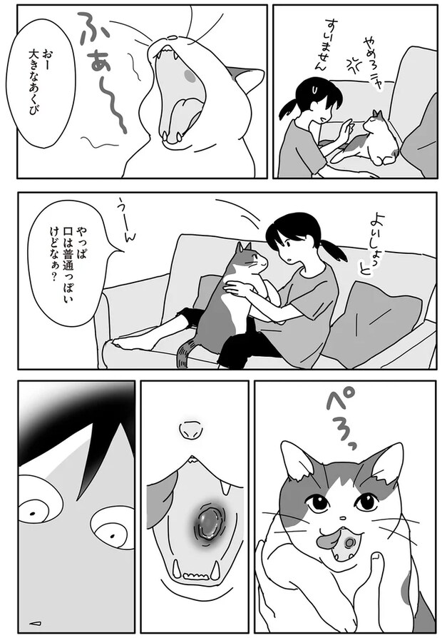 06-02.png