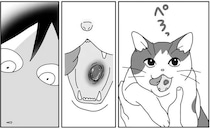 愛する猫の口の中に見えた何か。大きすぎる「口内炎」の正体は／世界一幸せな飼い主にしてくれた猫