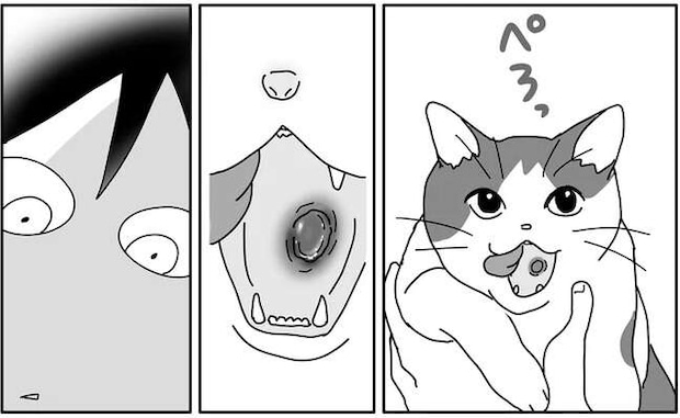 愛する猫の口の中に見えた何か。大きすぎる「口内炎」の正体は/世界一幸せな飼い主にしてくれた猫