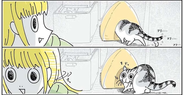 数カ月の時を経て...！ 猫が使ってくれずしまっておいたベッド／夜は猫といっしょ6