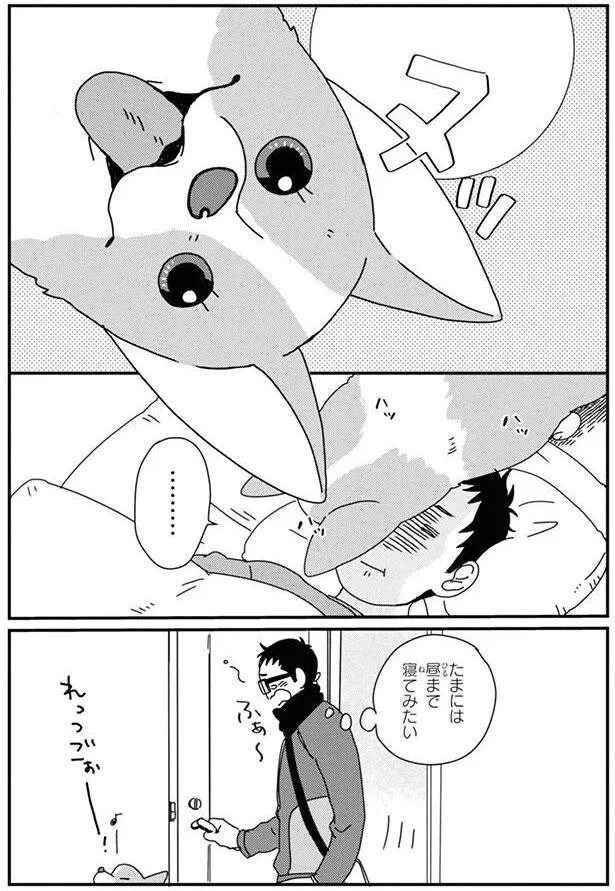 15726841.webp