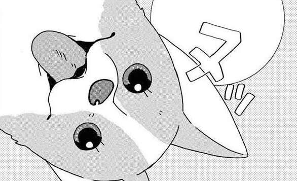 愛犬コーギーとの朝。たまにはのんびりしたいけど...／あしょんでよッ6
