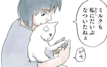 家族の中で「最も猫になつかれている」。となると、人はこうなりがち／拾い猫のモチャ4