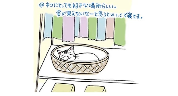 15762257.webp