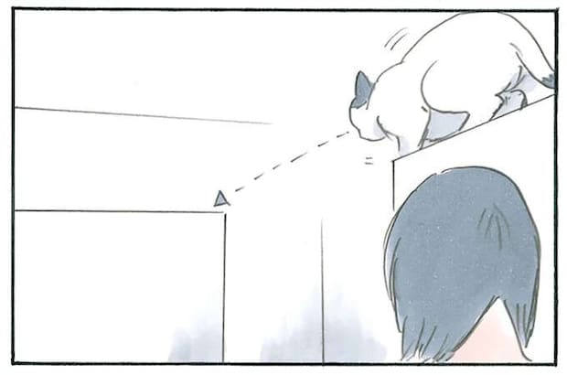 猫を飼っているとこんな日もある？ 「一日中こんな感じ」の休日／拾い猫のモチャ4