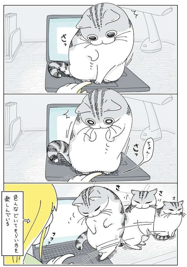 15971231.webp