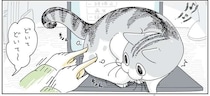 意外としつこい...!? PCの上にいる愛猫のどかし方／夜は猫といっしょ6