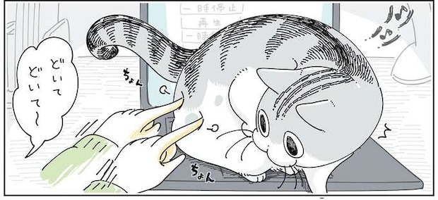 意外としつこい...!? PCの上にいる愛猫のどかし方／夜は猫といっしょ6
