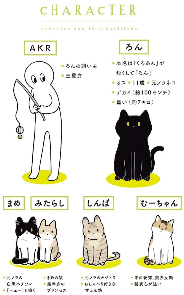 15986328.webp
