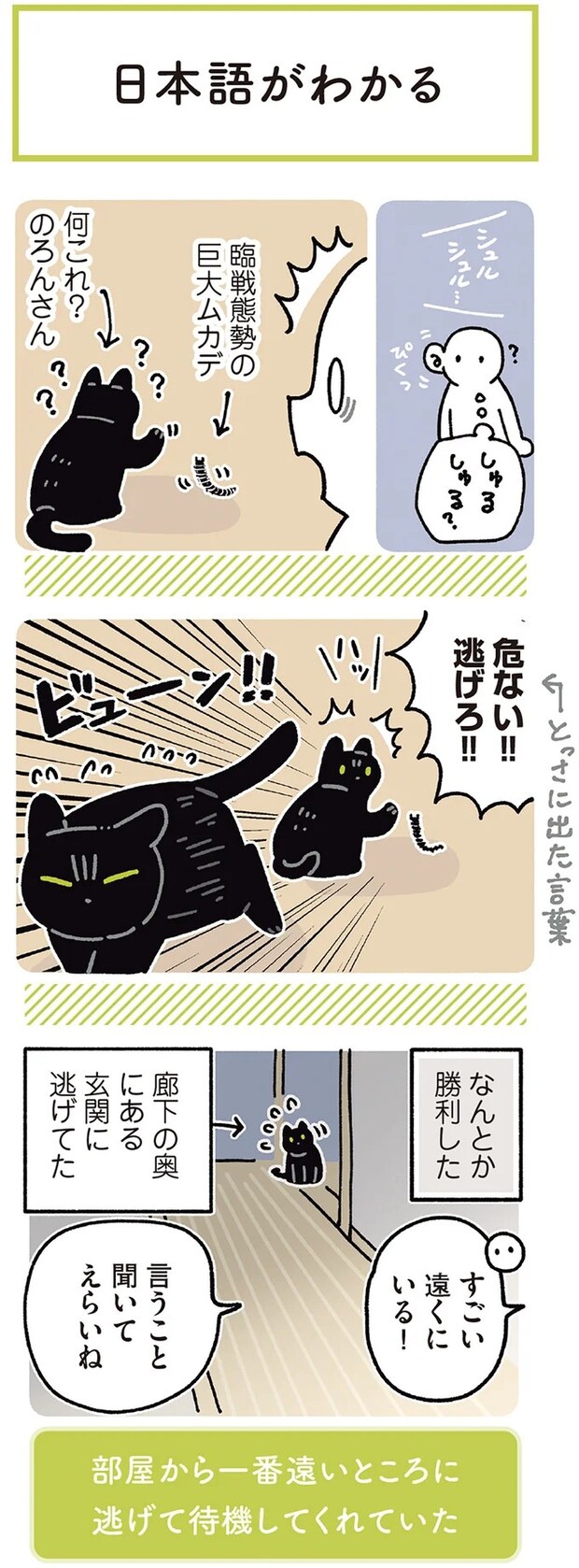 15986451.webp