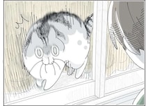 猫の不思議な行動。さっきまで一緒にいたのに...「知らない人判定」する瞬間／夜は猫といっしょ6