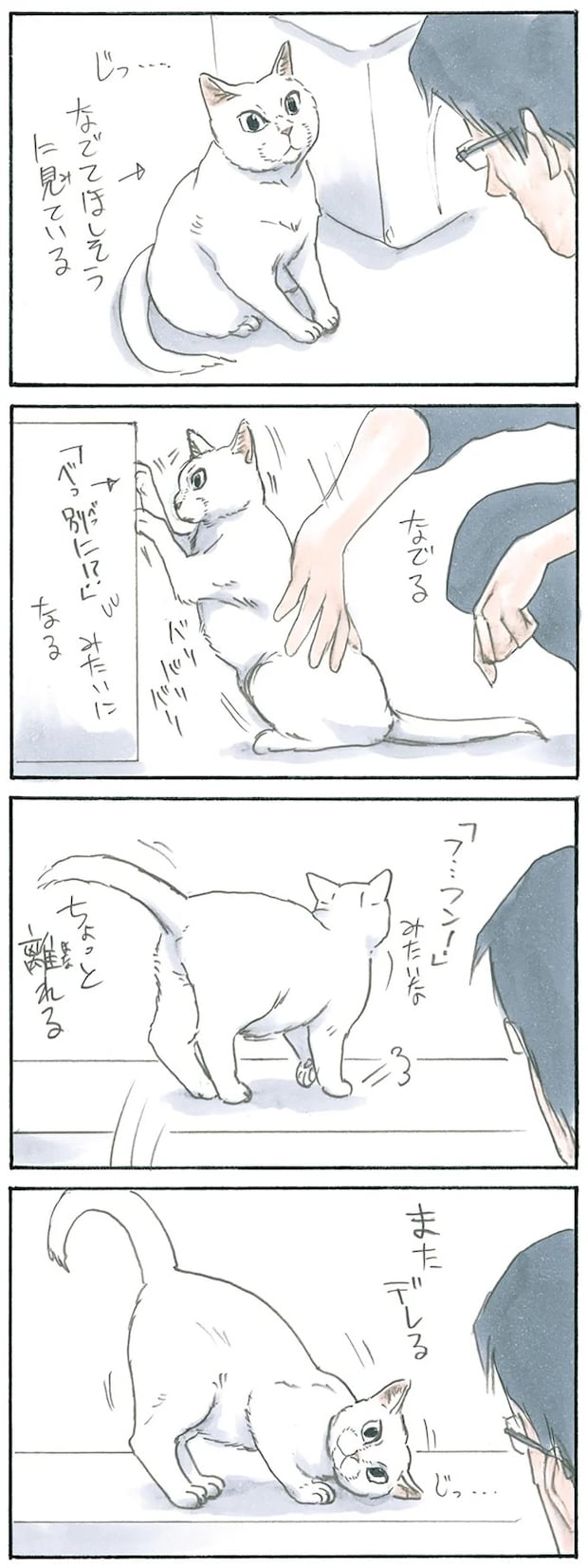 15928331.webp