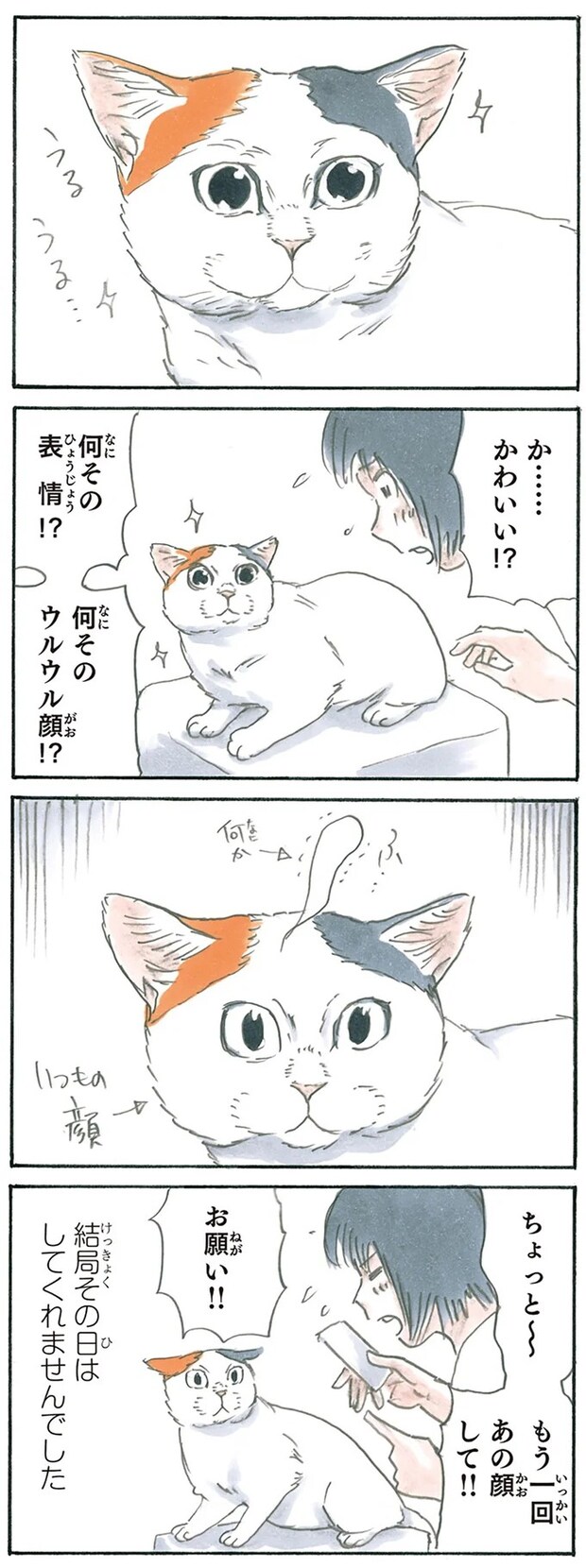 15928329.webp