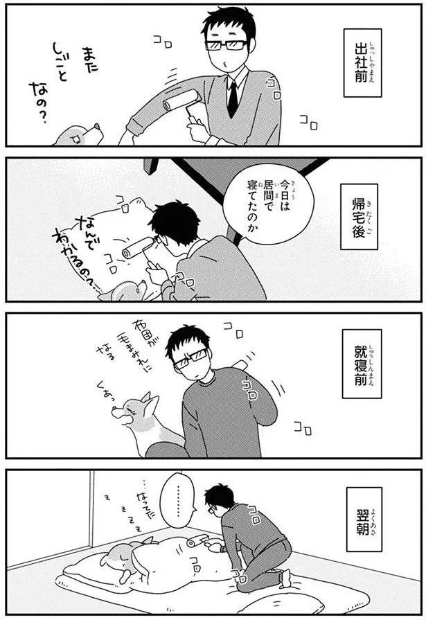 15726889.webp