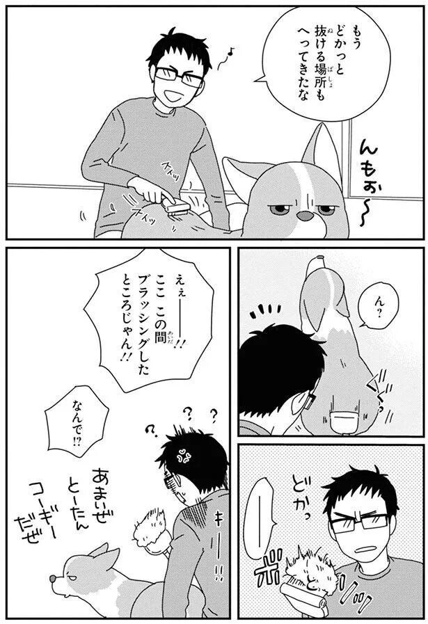 15726892.webp