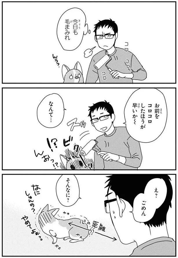 15726890.webp