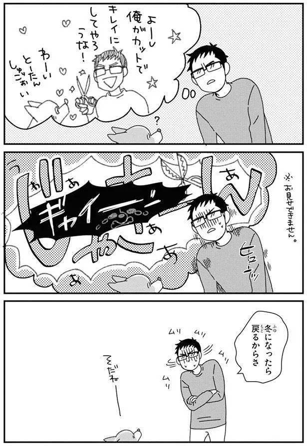 15726895.webp