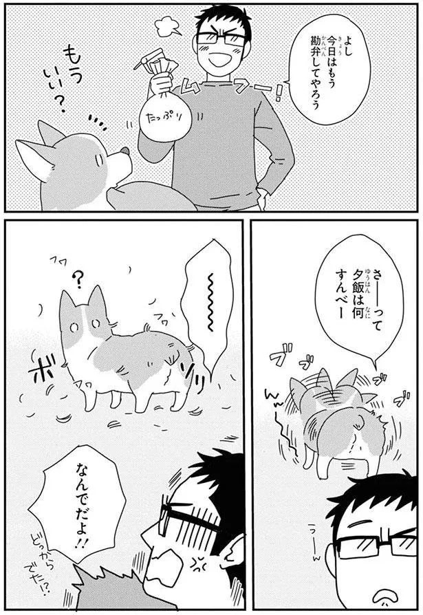 15726893.webp