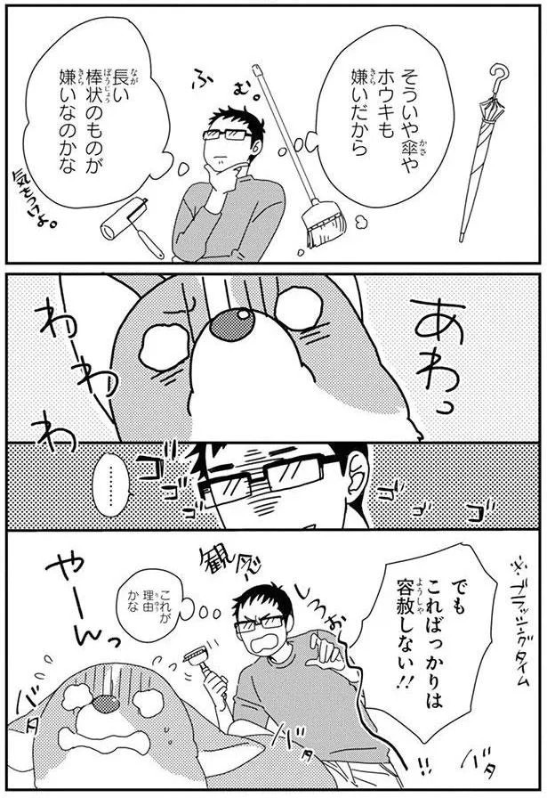 15726891.webp