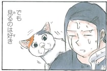 猫と水場あるある。「水がかかるのは嫌だけどなぜか見たい」／拾い猫のモチャ4