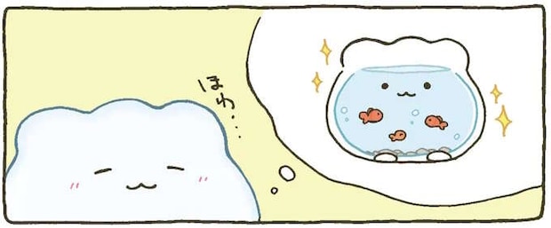 楽しく泳いでくれるかな。ペットショップで出会いを待つ金魚鉢ちゃん／金魚鉢ちゃん ずっといっしょのまいにち