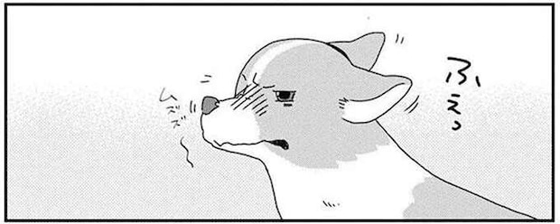 ワンコのくしゃみが巻き起こした「悲劇」。ピタゴラ...？／あしょんでよッ6