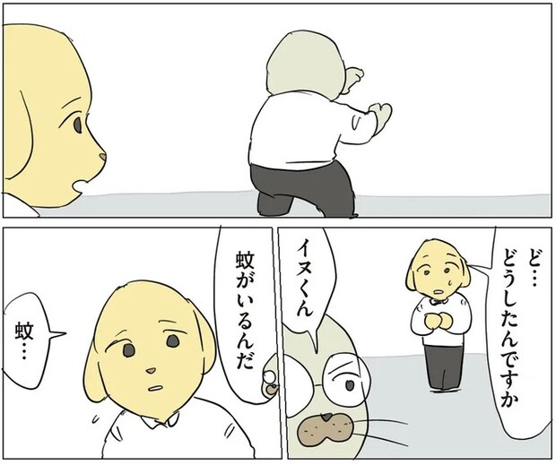171.webp