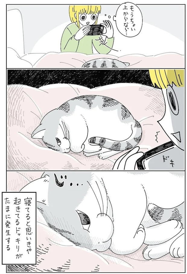 15971266.webp