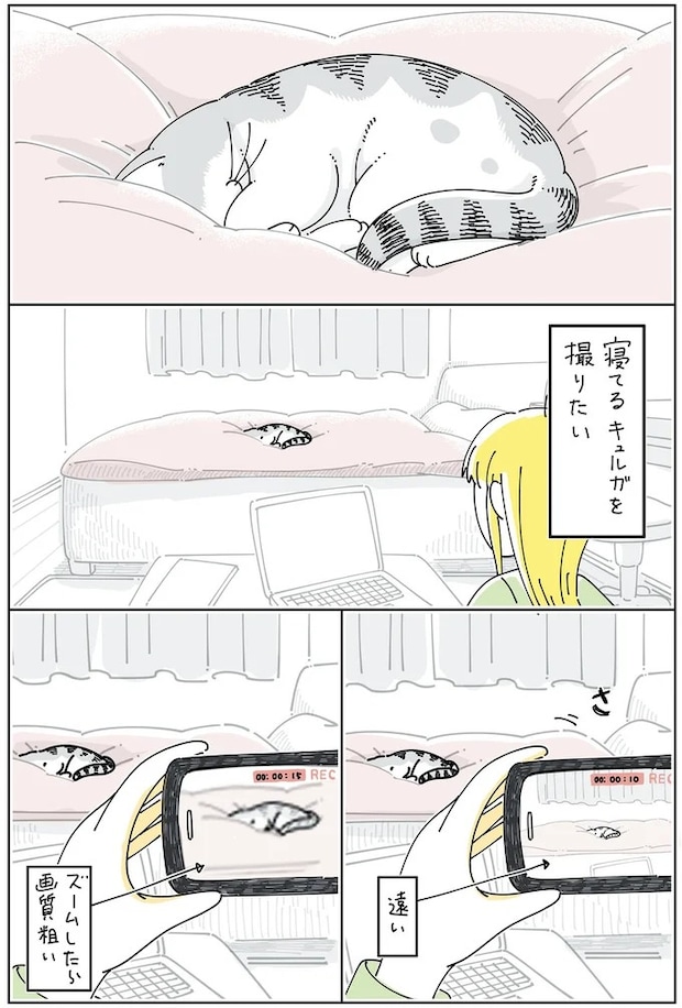 15971264.webp