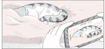 ベッドで眠る猫の写真を撮りたい。そーっと近づいたら...ドキッ！／夜は猫といっしょ6