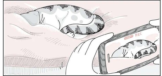ベッドで眠る猫の写真を撮りたい。そーっと近づいたら...ドキッ!/夜は猫といっしょ6