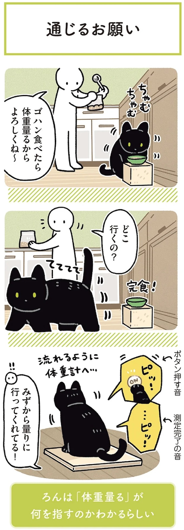 15986457.webp