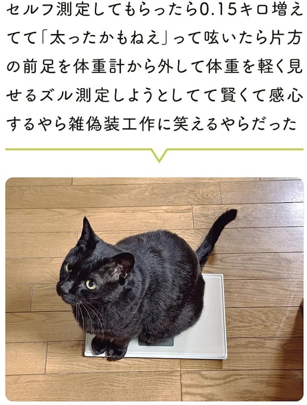 15986458.webp