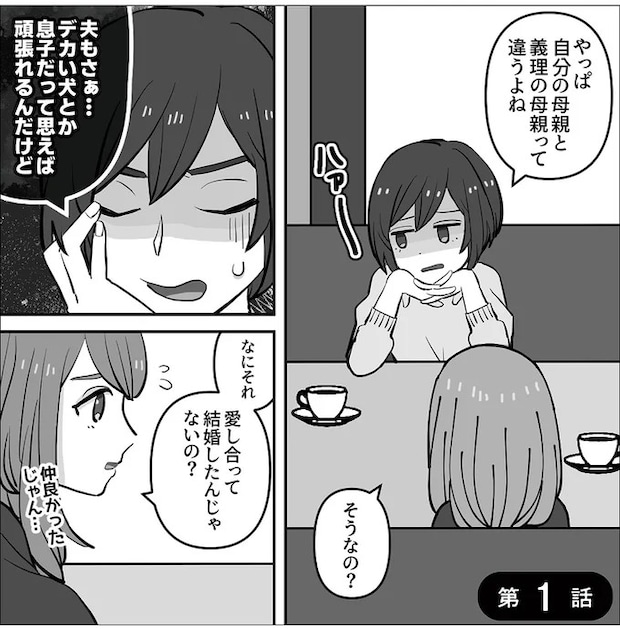 13835384.webp