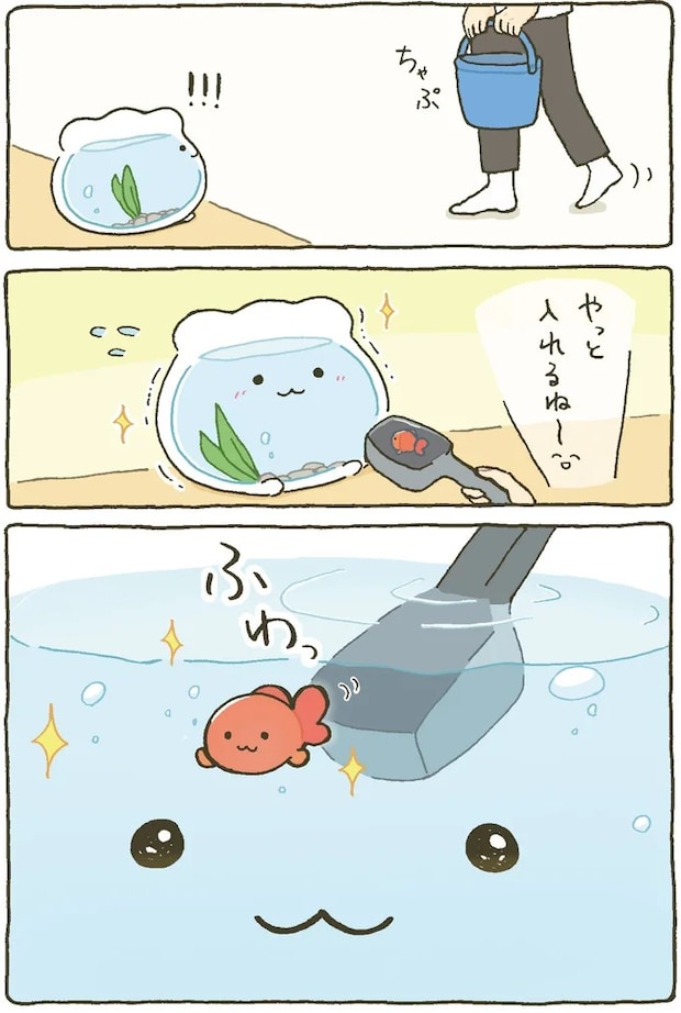 15984468.webp