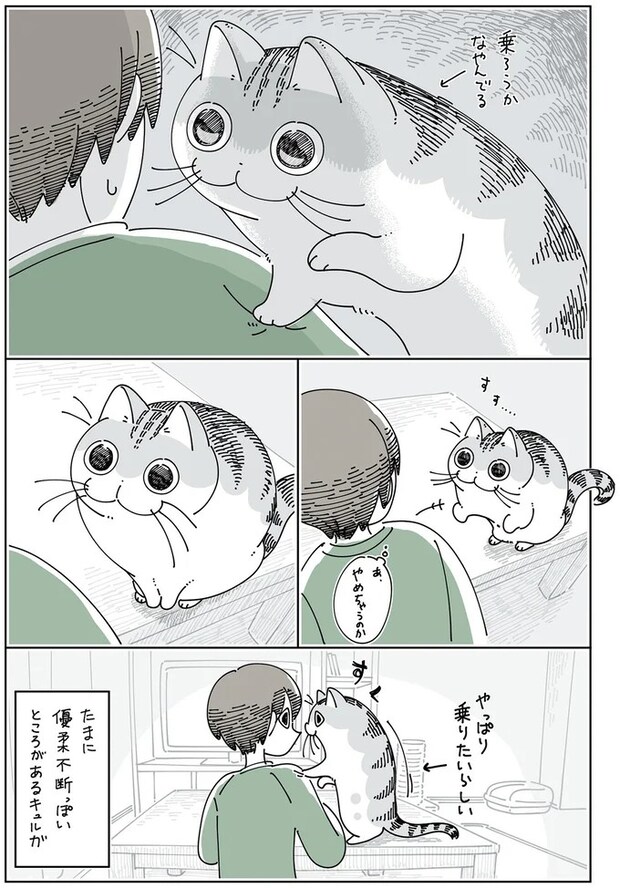 15971287.webp