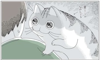 優柔不断に悩む猫。飼い主の肩に乗ろうか、やっぱりやめようか...／夜は猫といっしょ6